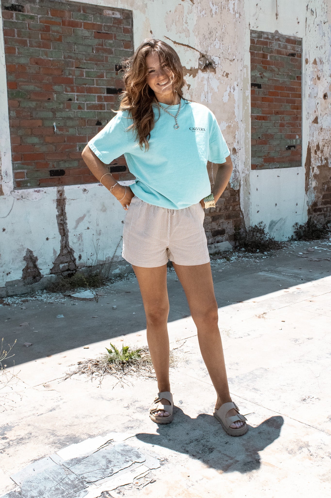 The Golden Coast Stripe Shorts